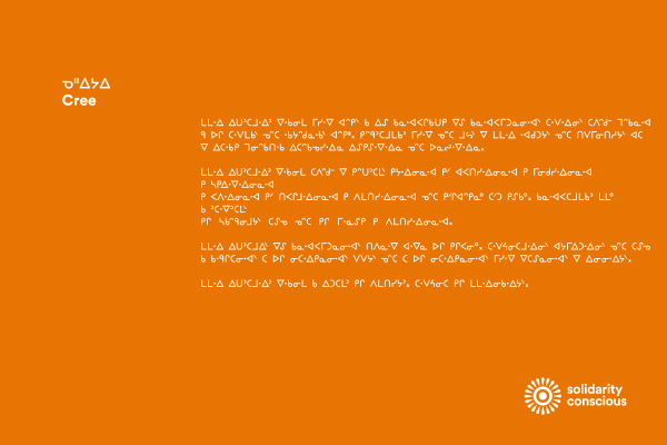 solidarity conscious 12-Cree-web
