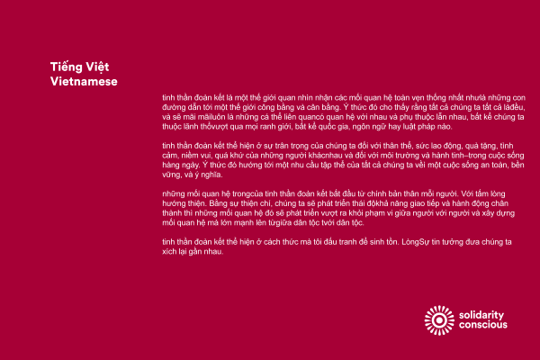 solidarity conscious 14-Vietnamese-web
