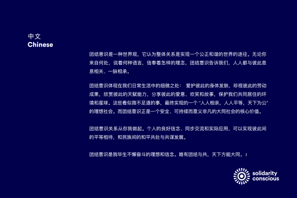 solidarity conscious 17-Chinese-web